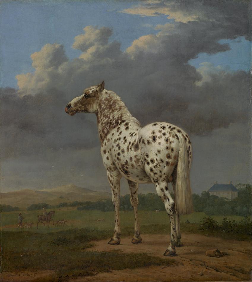 Paulus_Potter_(Dutch_-_The_-Piebald-_Horse_-_Google_Art_Project.jpg