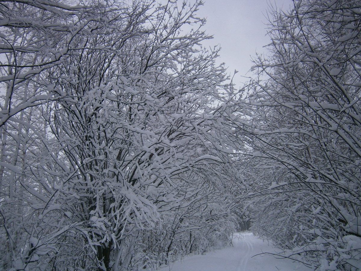PB034033а.jpg