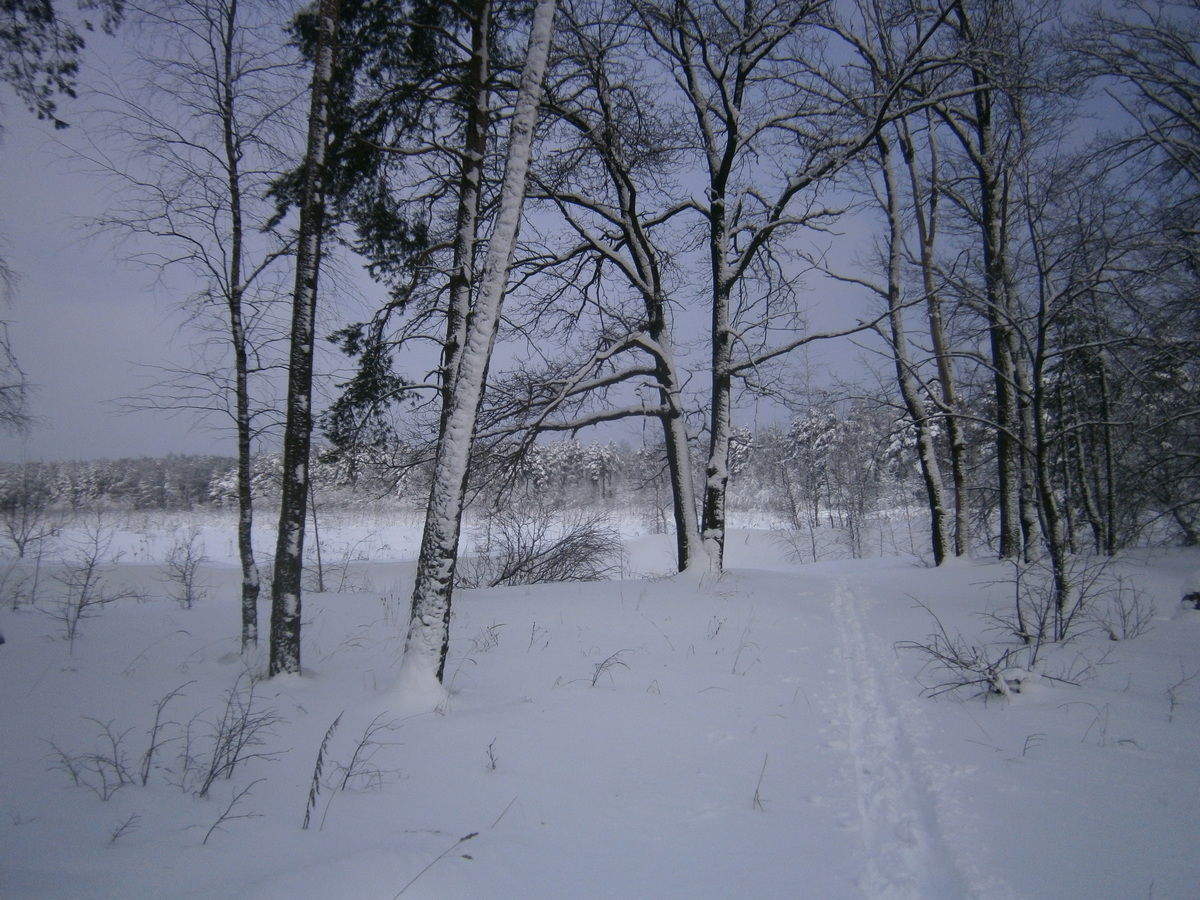 PB084037е.jpg