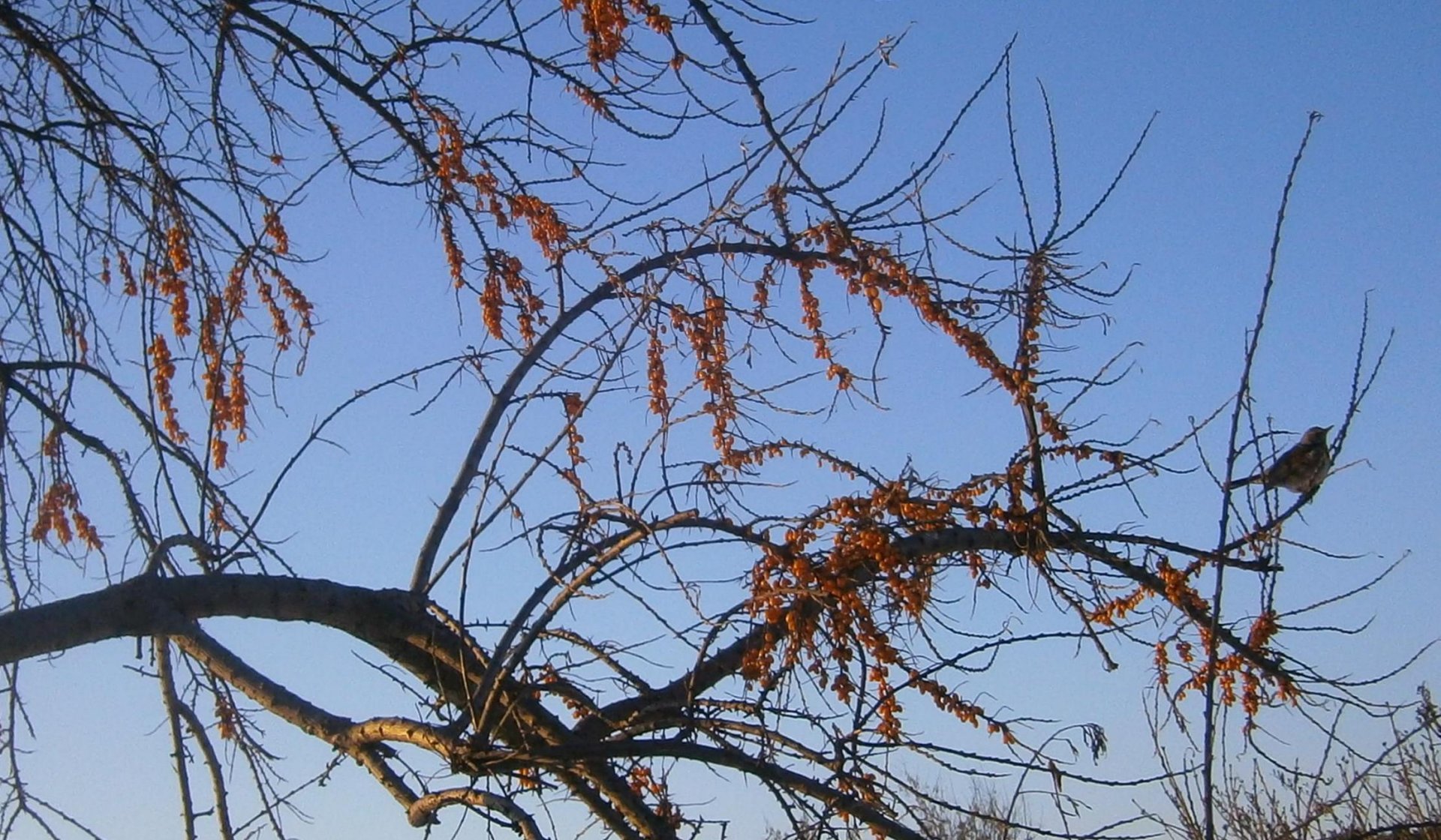 PB092726f.jpg