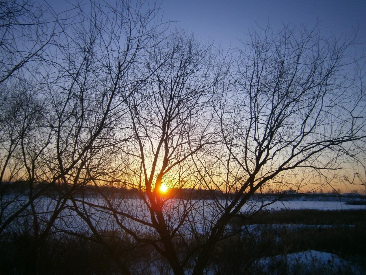 PB092741g.jpg