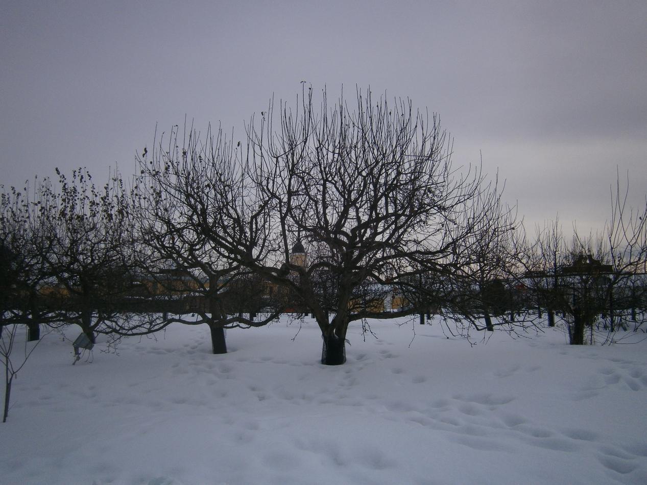 PB162768l.jpg