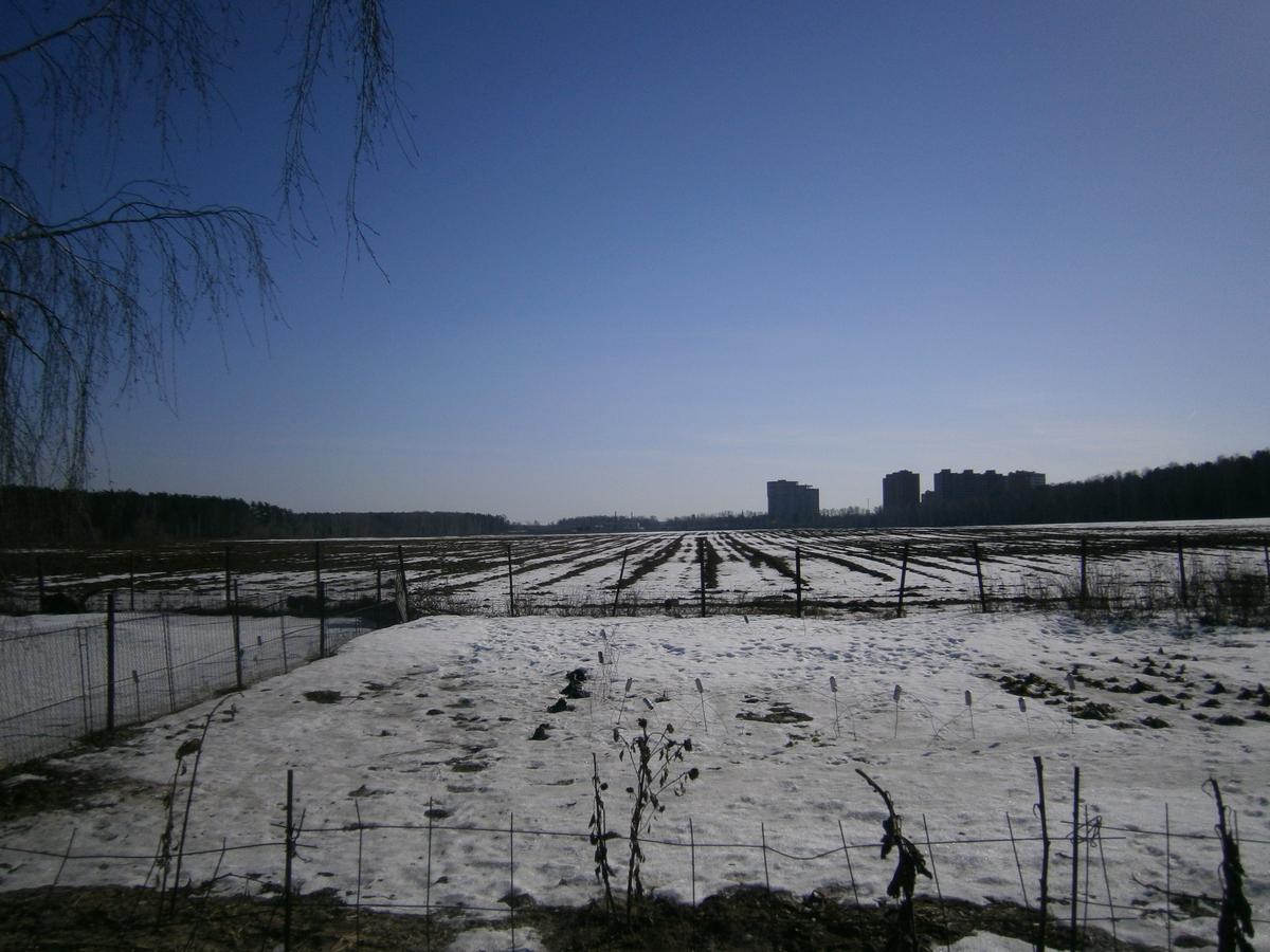 PC112864f.jpg