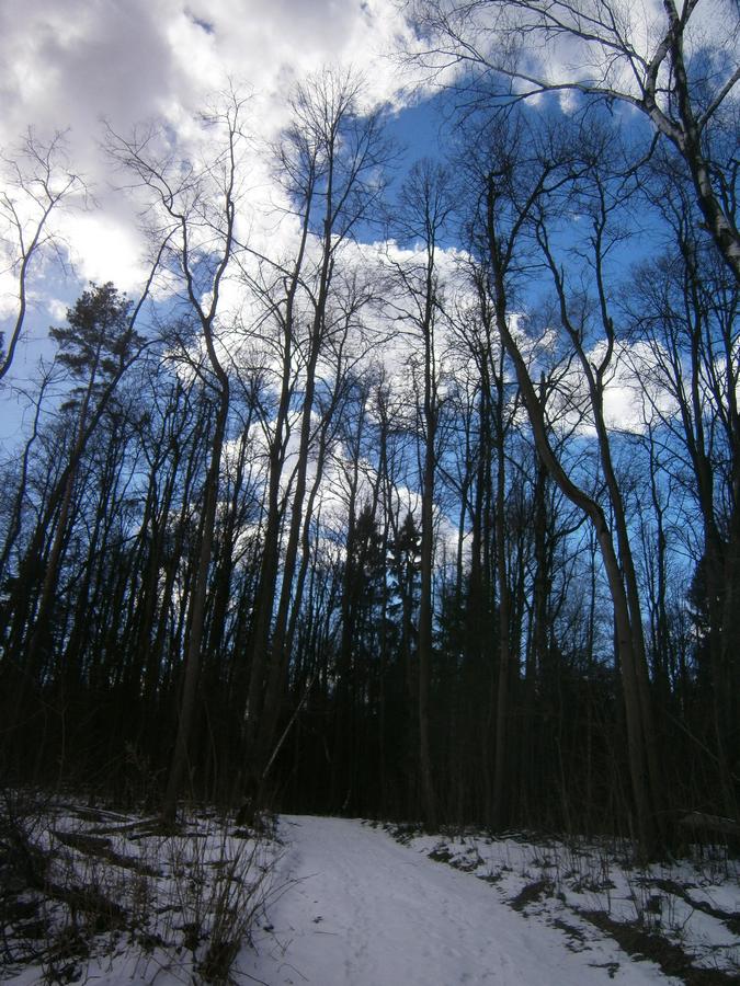 PC302924g.jpg