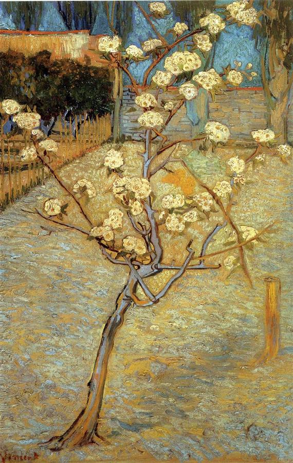 pear-tree-in-blossom-1888.jpg!HDп.jpg