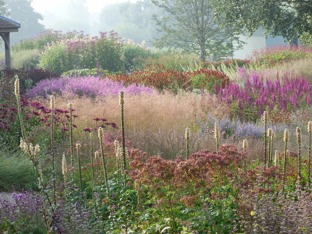 pensthorpe_original.jpg