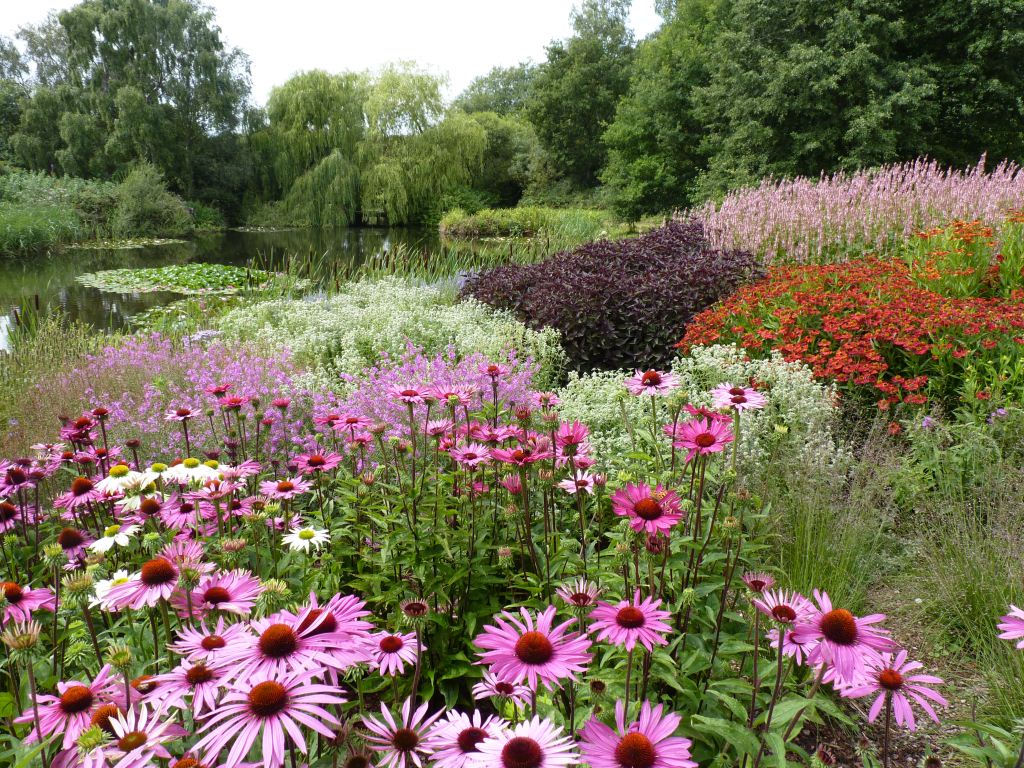 pensthorpe_summer_2011_original.jpg