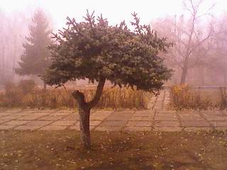 Photo-0219.jpg