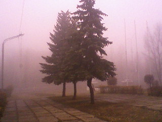 Photo-0221.jpg