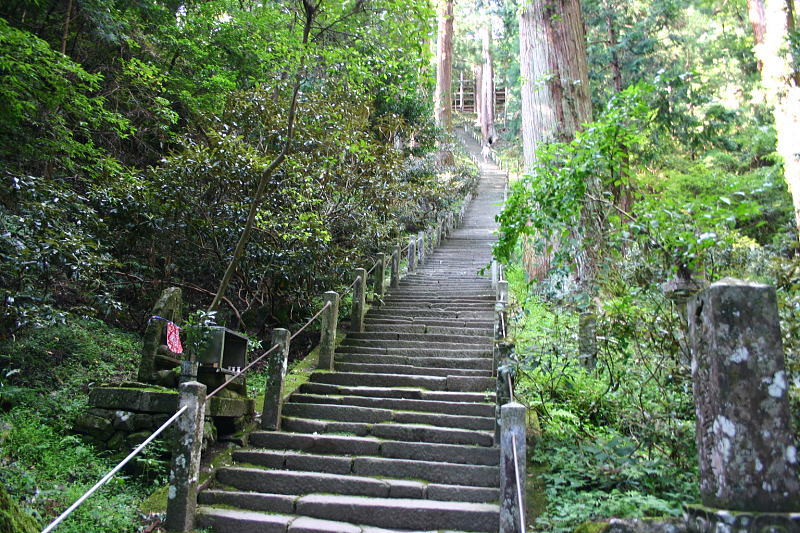 photo16.jpg