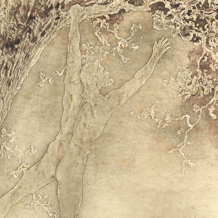 Pierre_Roche_-_Ferdinant_Massignon_-_Les_Hesperides_-_gypsophraph_-.jpg