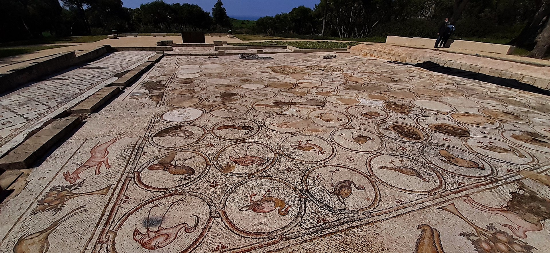 PikiWiki_Israel_76353_caesarea_bird_mosaic.jpg