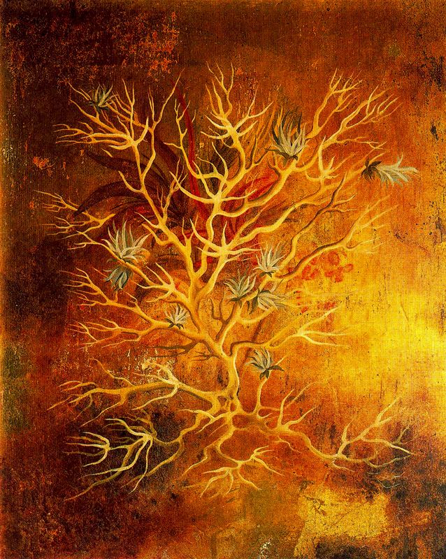 plant-1960.jpg