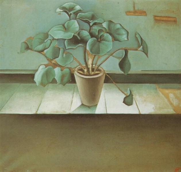 plant.jpg!Large.jpg