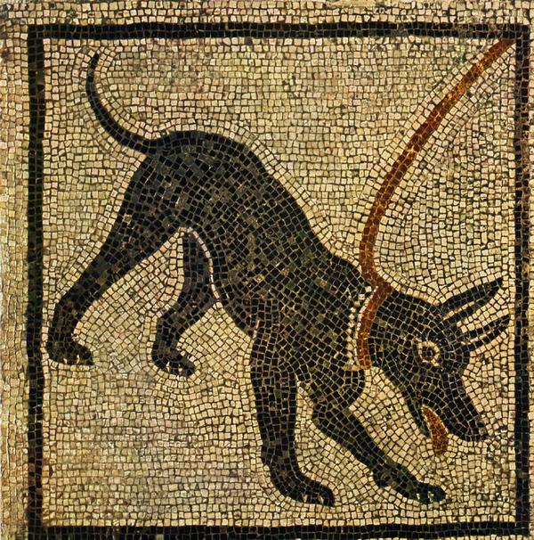 pompei, cave canem -200_jpg.jpg