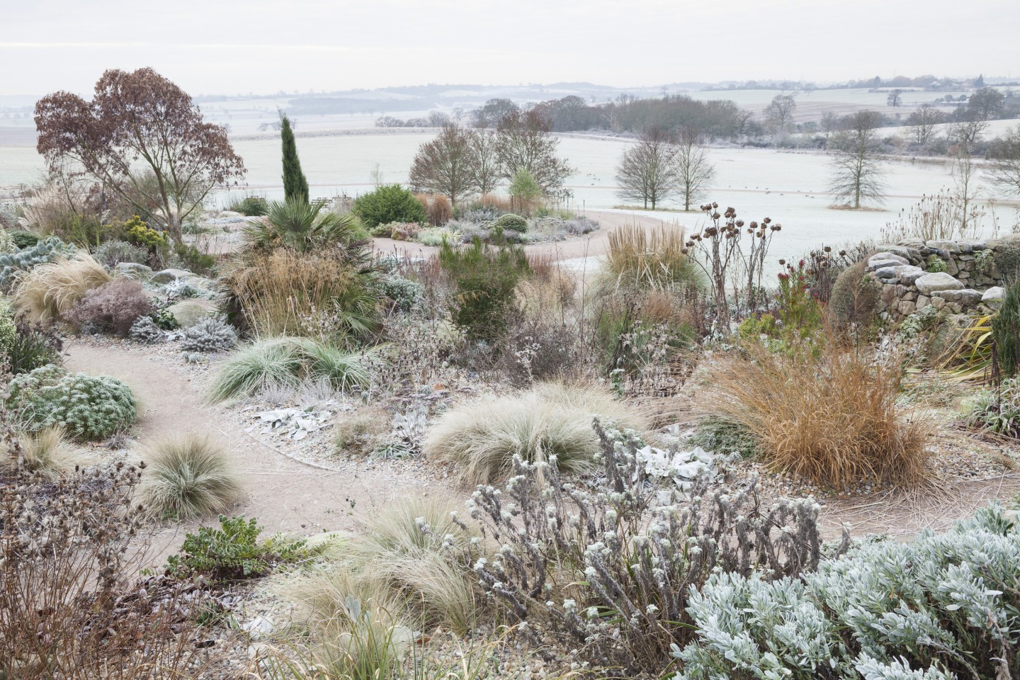 RHS-Garden-Hyde-Hall-Chelmsford-Essex-The-Dry-Garden-in-winter-2-©-RHS-Lee-Beel.jpg