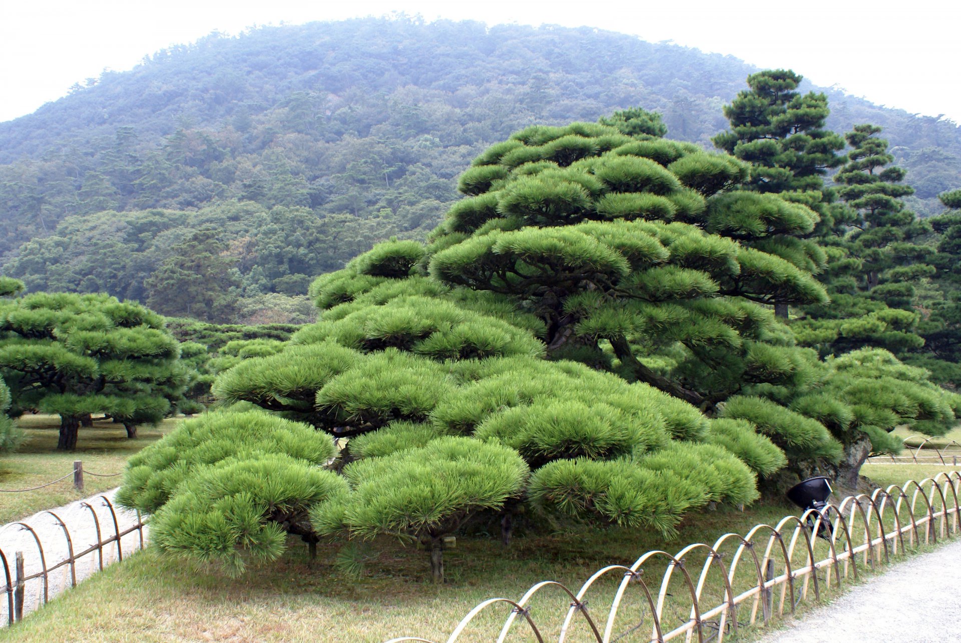 Ritsurin_park05s3200.jpg