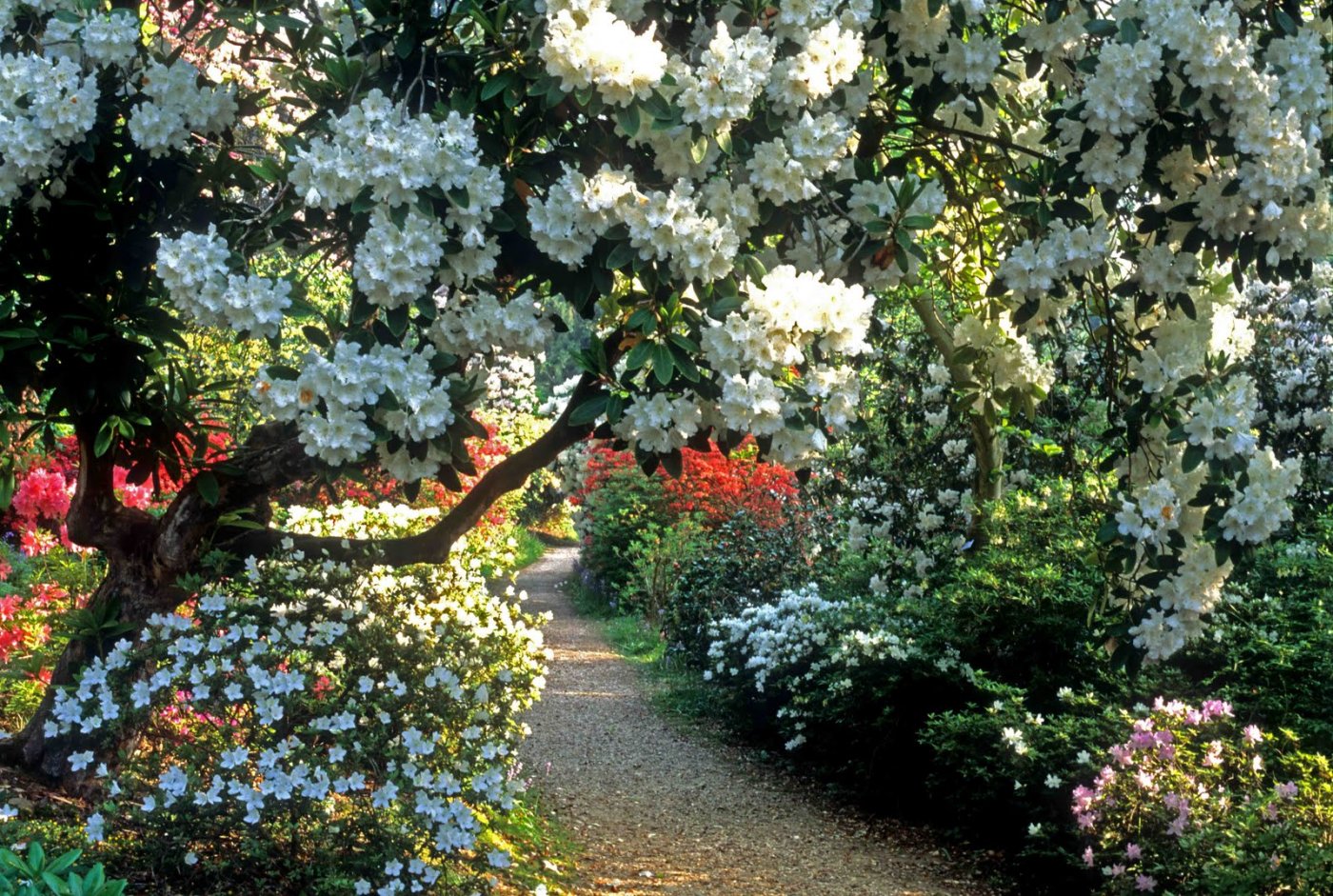 sadyi_leonardsli_leonardslee_gardens_ (1).jpg