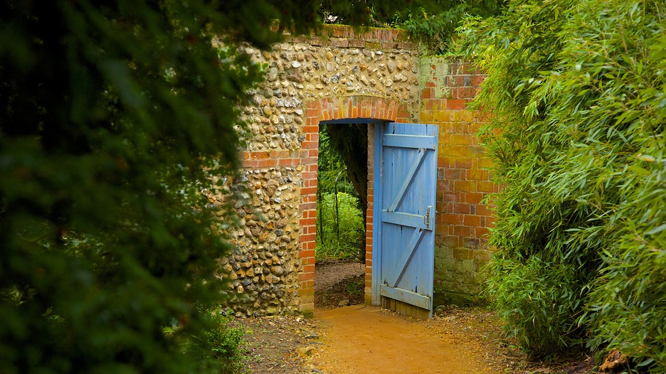 Saffron-Walden-59607 (1).jpg