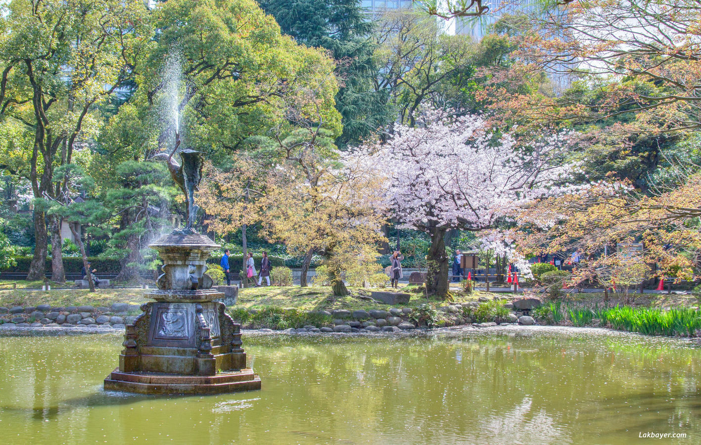 Sakura2017_Hibiya_Park_01е.jpg