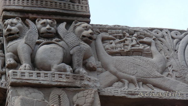 sanchi-64.jpg