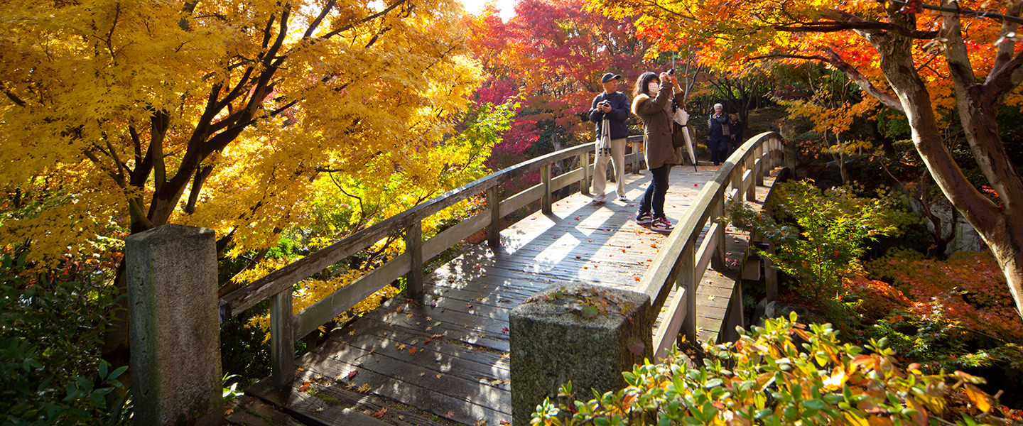 sankeien_garden_03.jpg
