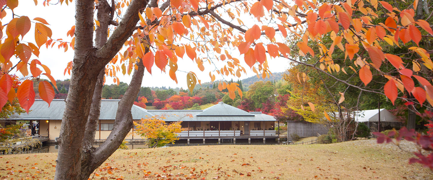 sankeien_garden_04.jpg