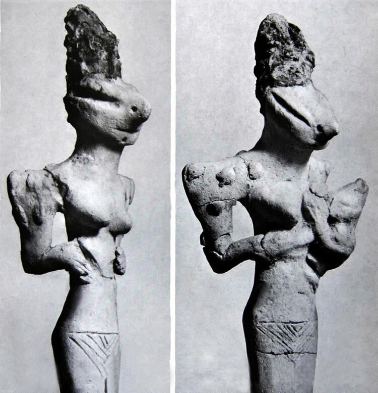 scale_2400.jpg