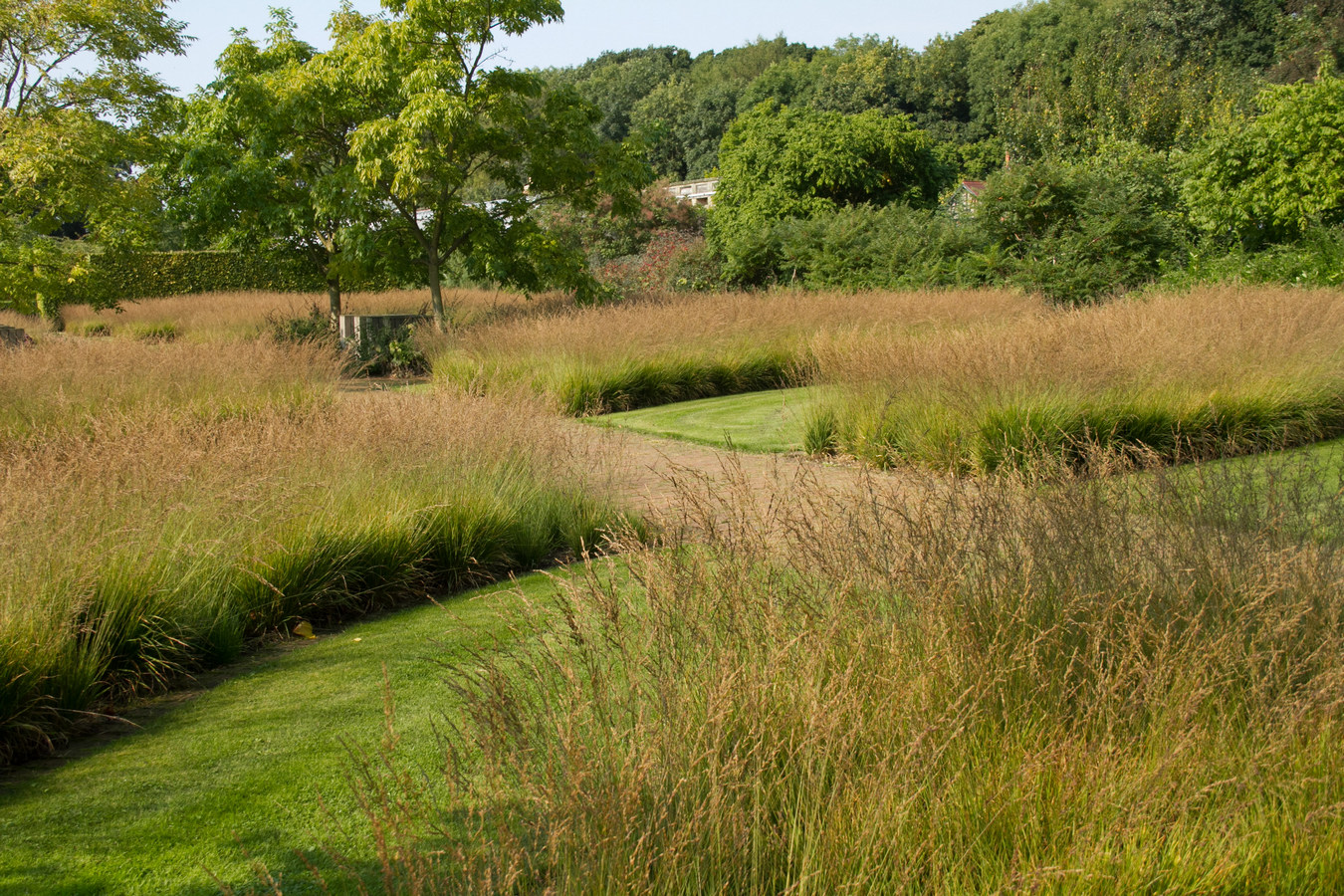 Scampston-1-of-1.jpg