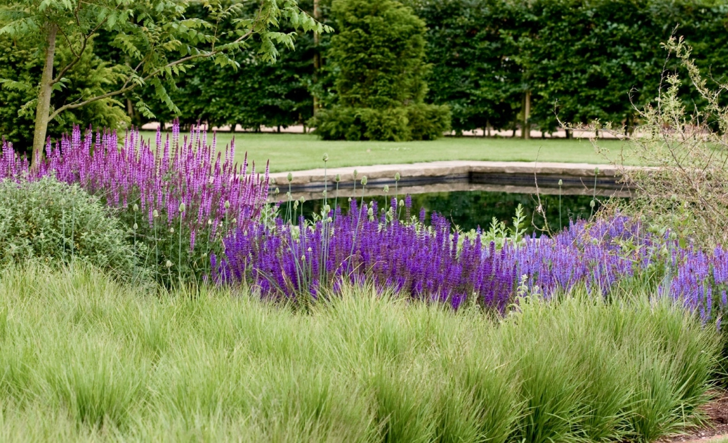 scampston-garden-yorkshire-perennial-grasses-piet-oudolf-alh1-flickr-1466x893.jpg