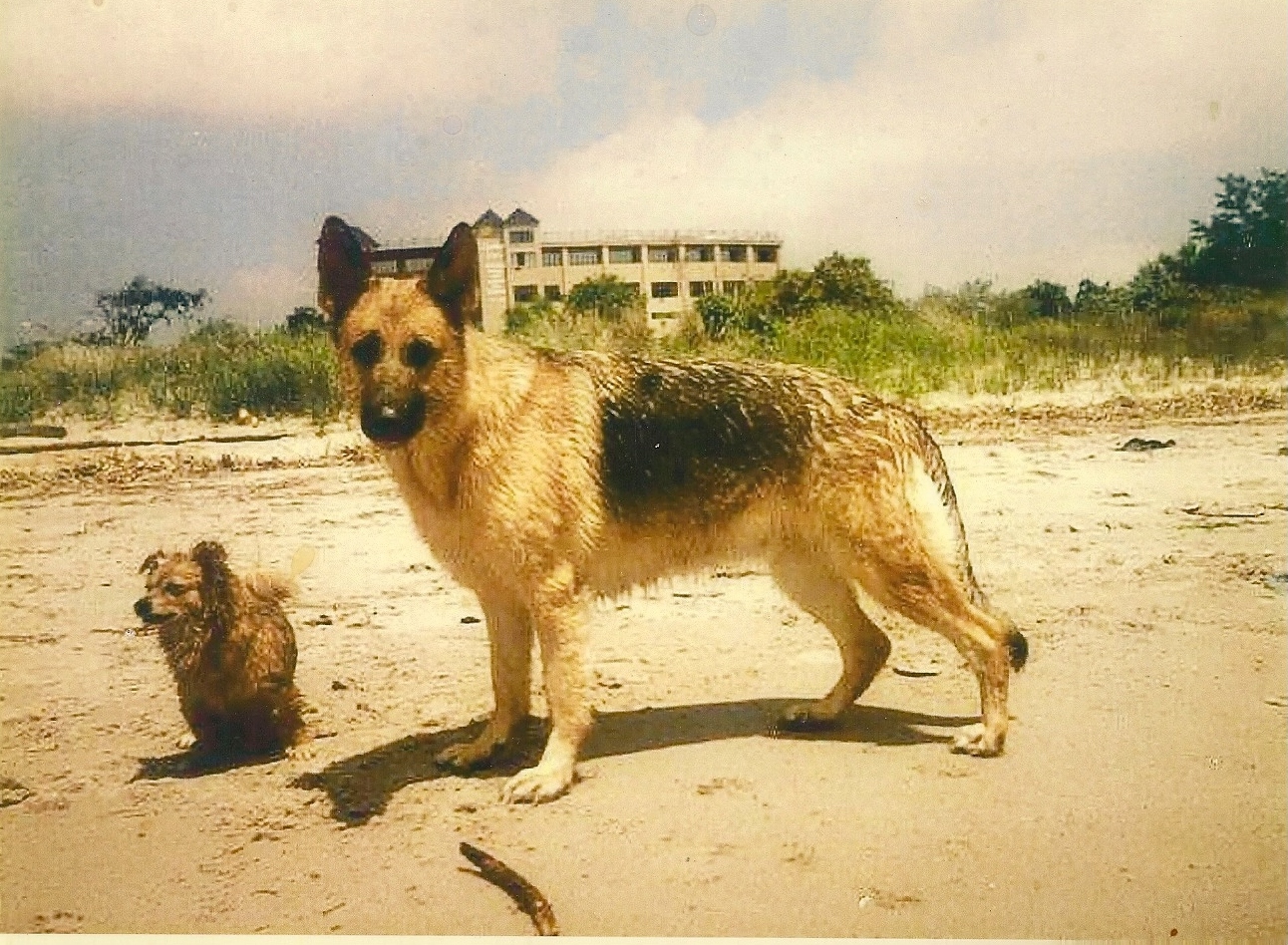 Scanning0002.jpg