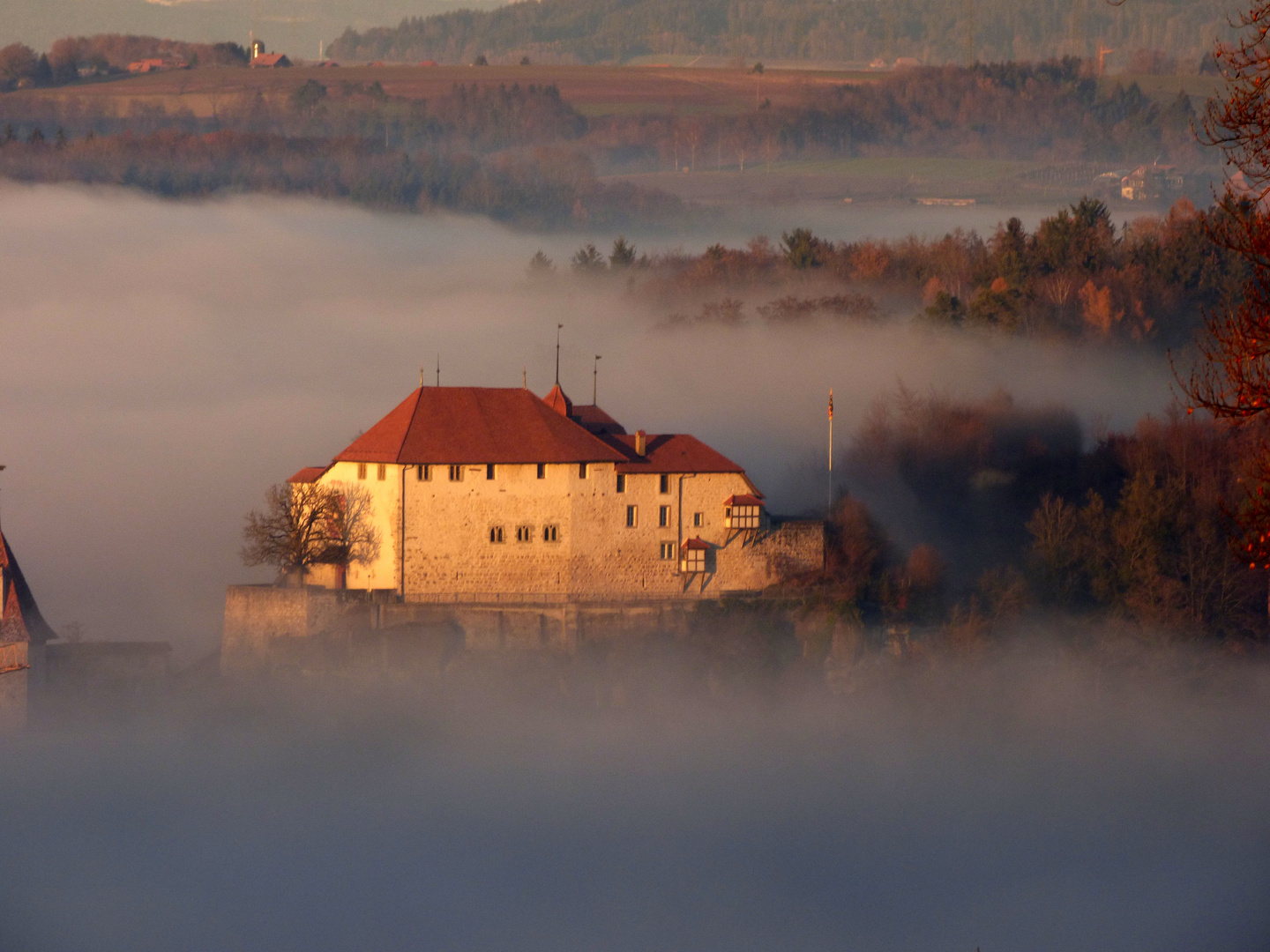 schloss-laupen-4e6d6f08-d25e-417c-aa98-1f4855ada15f.jpg