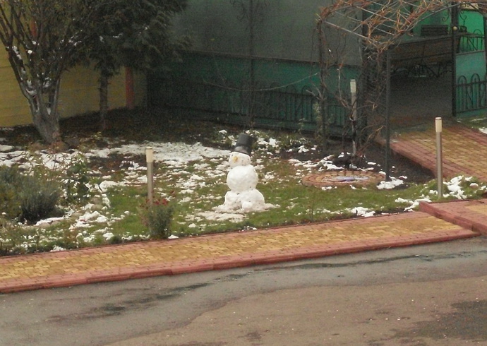 SDC10001.JPG
