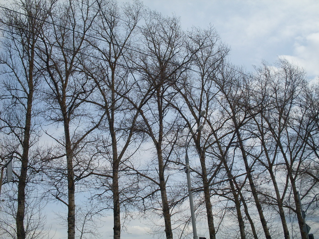 SDC10003.JPG