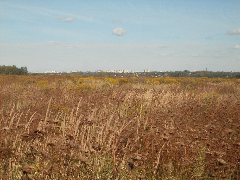 SDC10004_.jpg