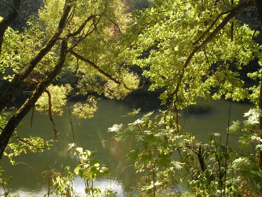 SDC10010_.jpg