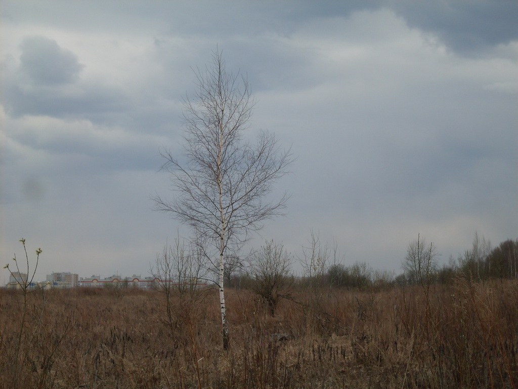 SDC10012.JPG