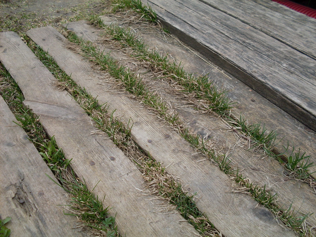 SDC10016.JPG