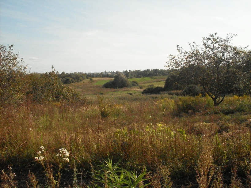 SDC10018_.jpg
