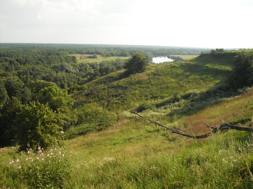 SDC10019_.jpg