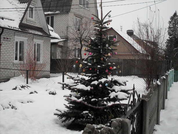 SDC10020.JPG