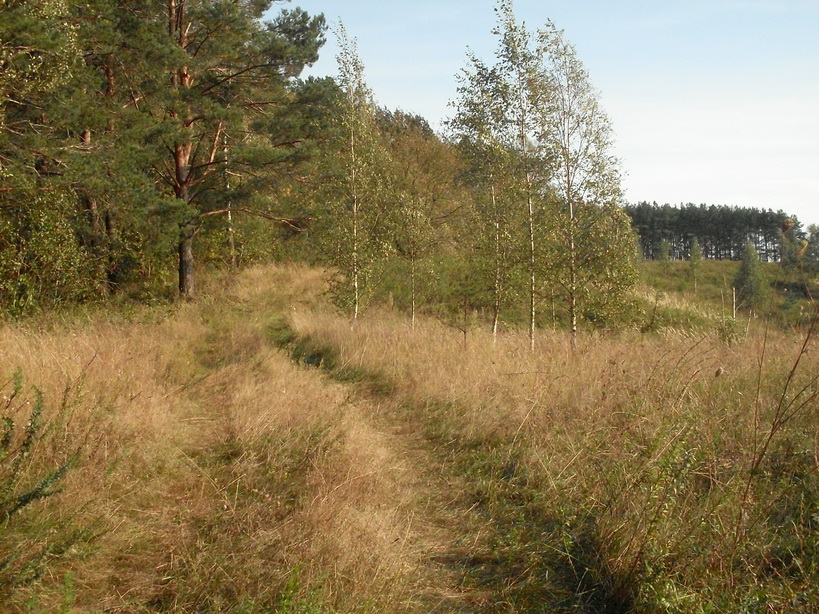 SDC10021_.jpg