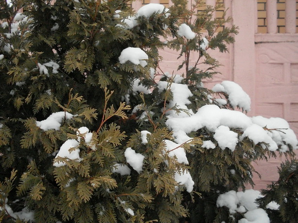 SDC10022.JPG