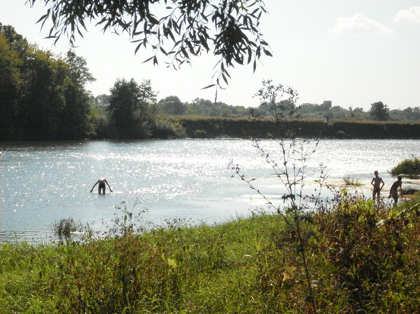 SDC10025.JPG
