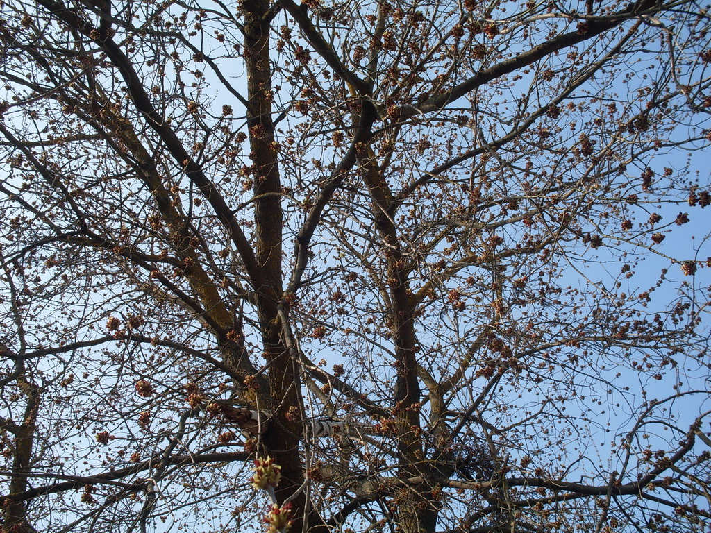 SDC10025.JPG