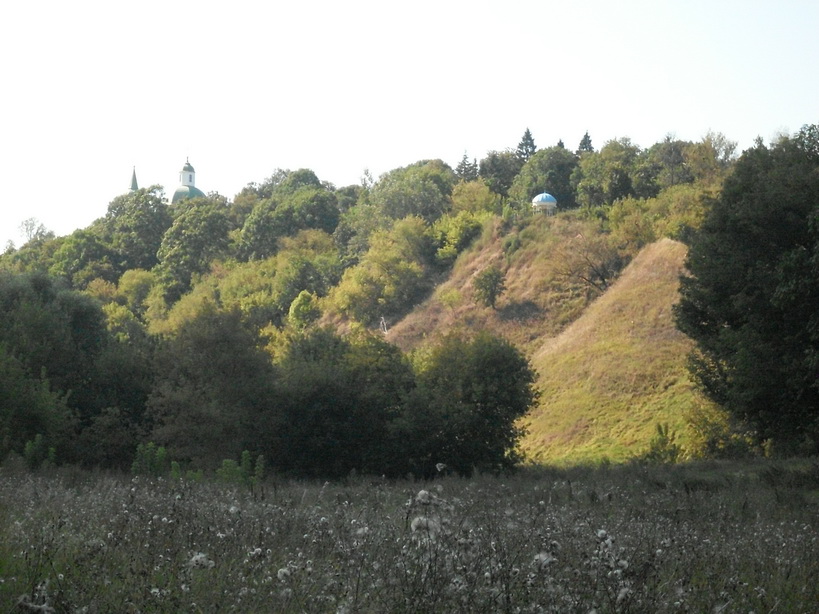 SDC10033.JPG