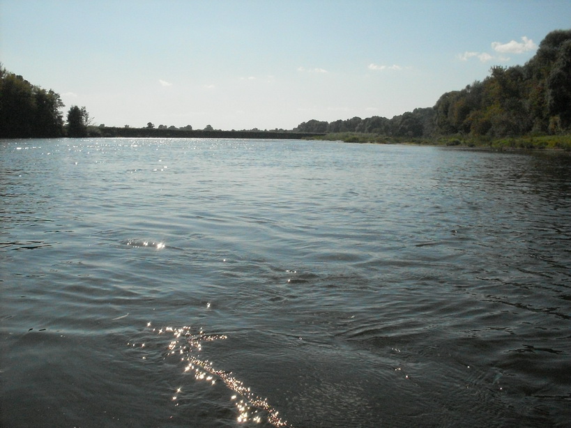 SDC10035.JPG