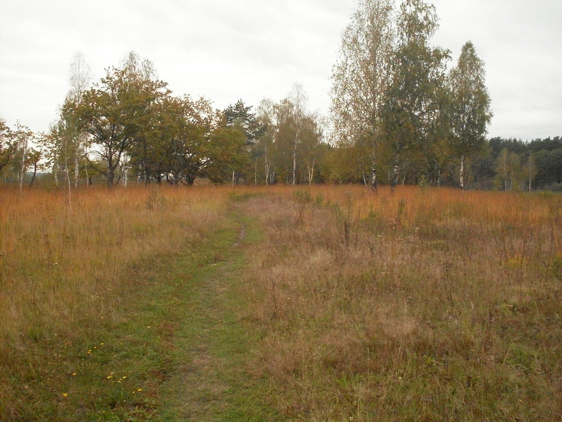 SDC10035_.jpg