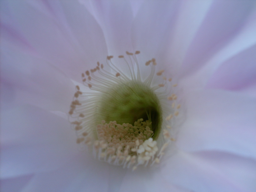 SDC10040_.jpg