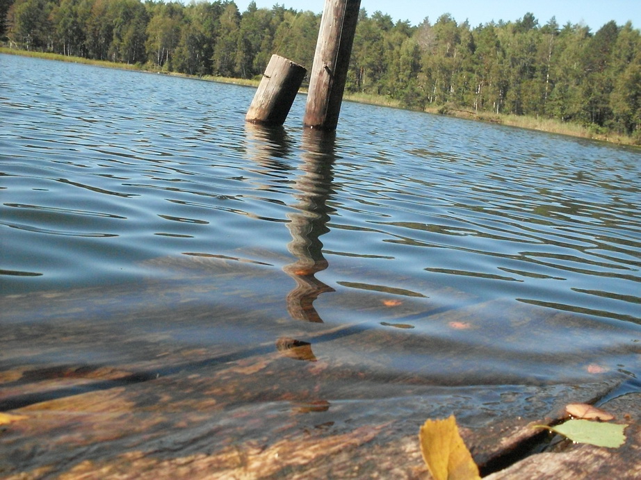 SDC10041.JPG